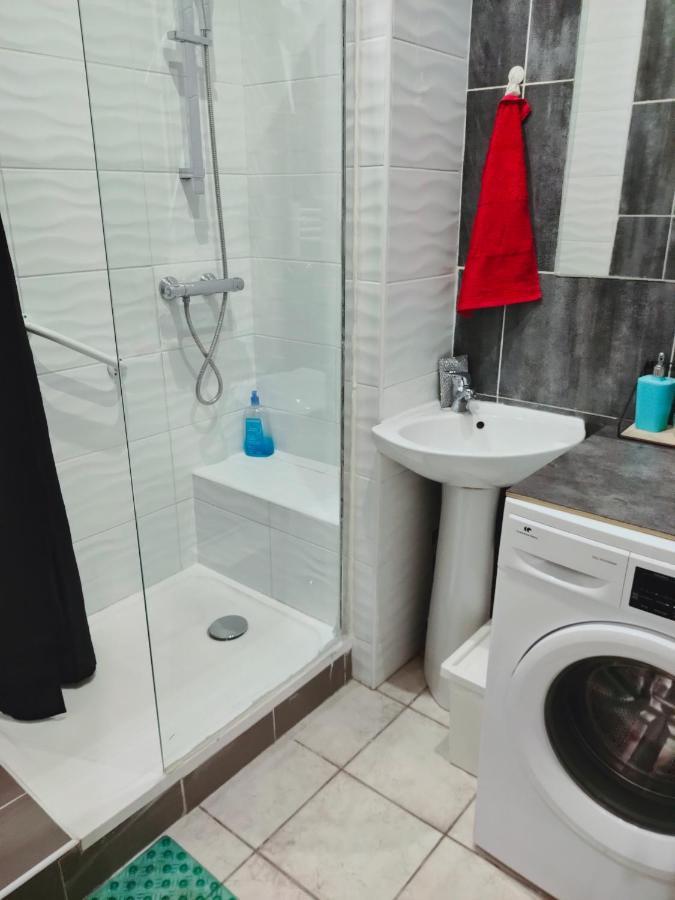 Blanc De Tardy Apartment Saint-Etienne  Bagian luar foto