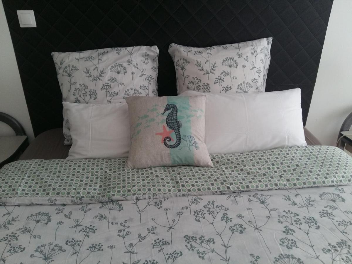 Blanc De Tardy Apartment Saint-Etienne  Bagian luar foto