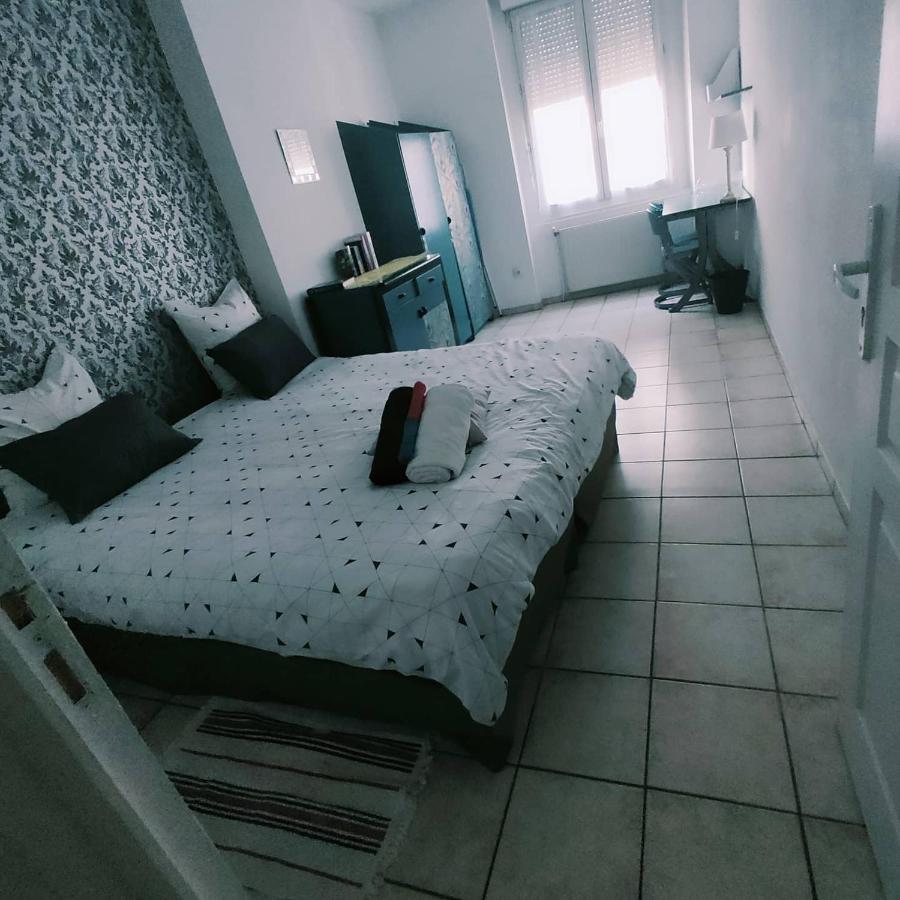 Blanc De Tardy Apartment Saint-Etienne  Bagian luar foto